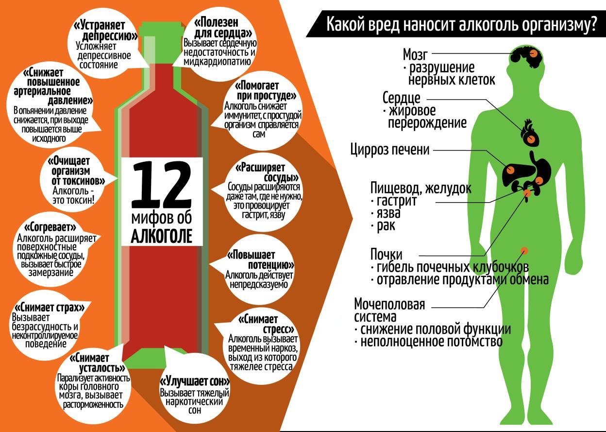 Инфографика «Какой вред наносит алкоголь организму»