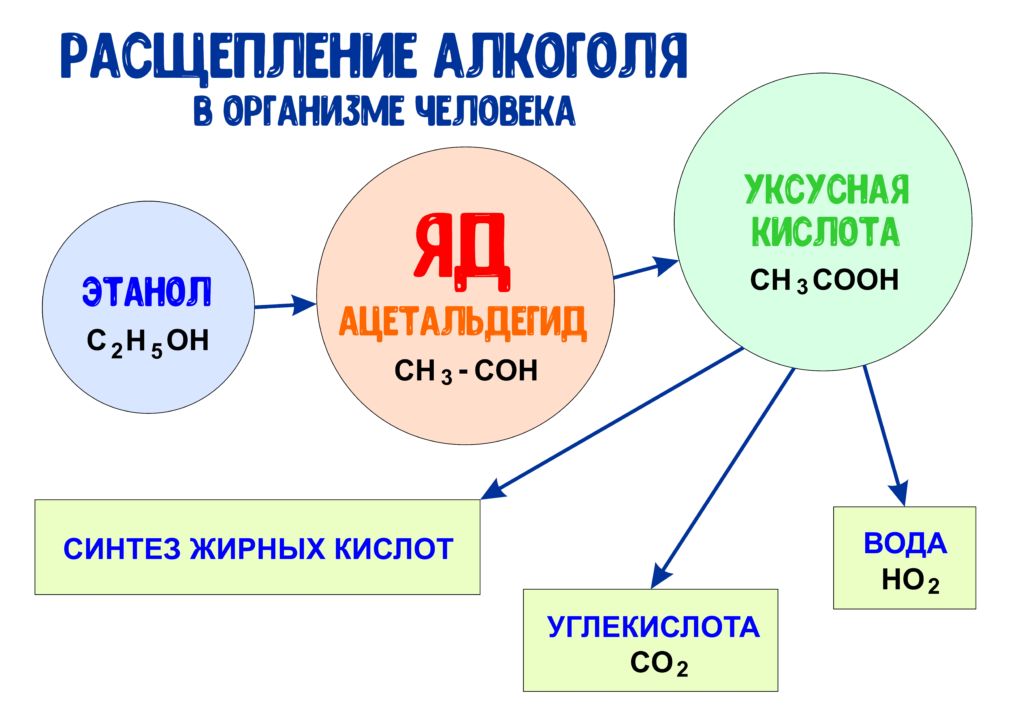 Формула всасывания этилового спирта